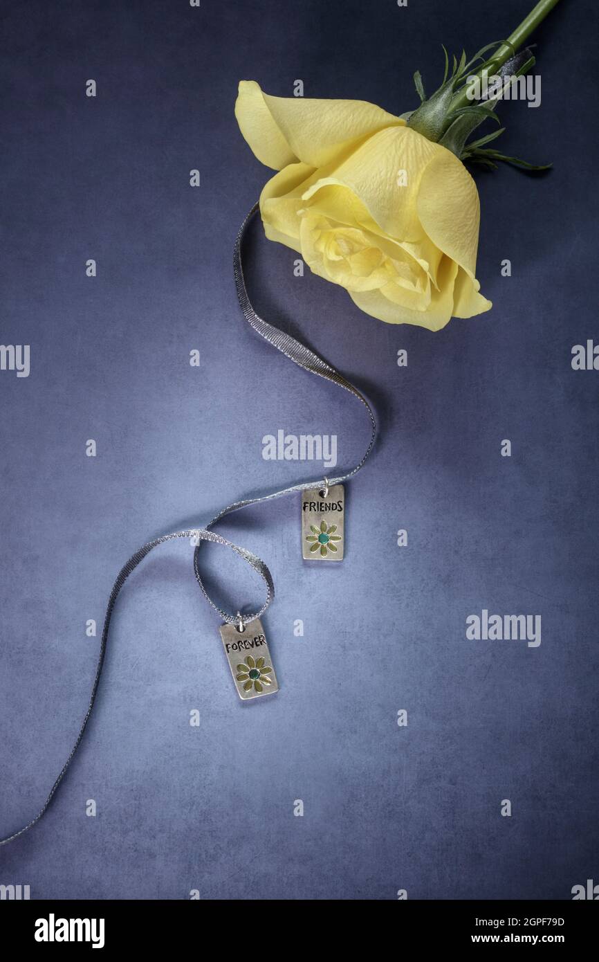 Amici gioielli per sempre su nastro blu con rosa gialla Foto Stock