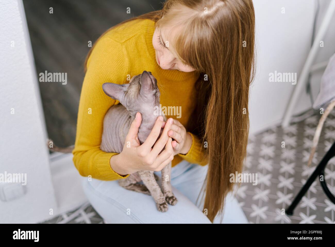 Gatto e donna che si guardano l'un l'altro. Prendersi cura del gattino grigio. Amore e divertimento. Petrenthood Foto Stock