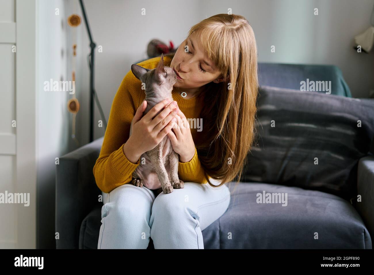 PET-centric gatto proprietario baciare calvo sphynx grigio gatto. Accarezzare sul divano. Concetto di Petrenthood Foto Stock