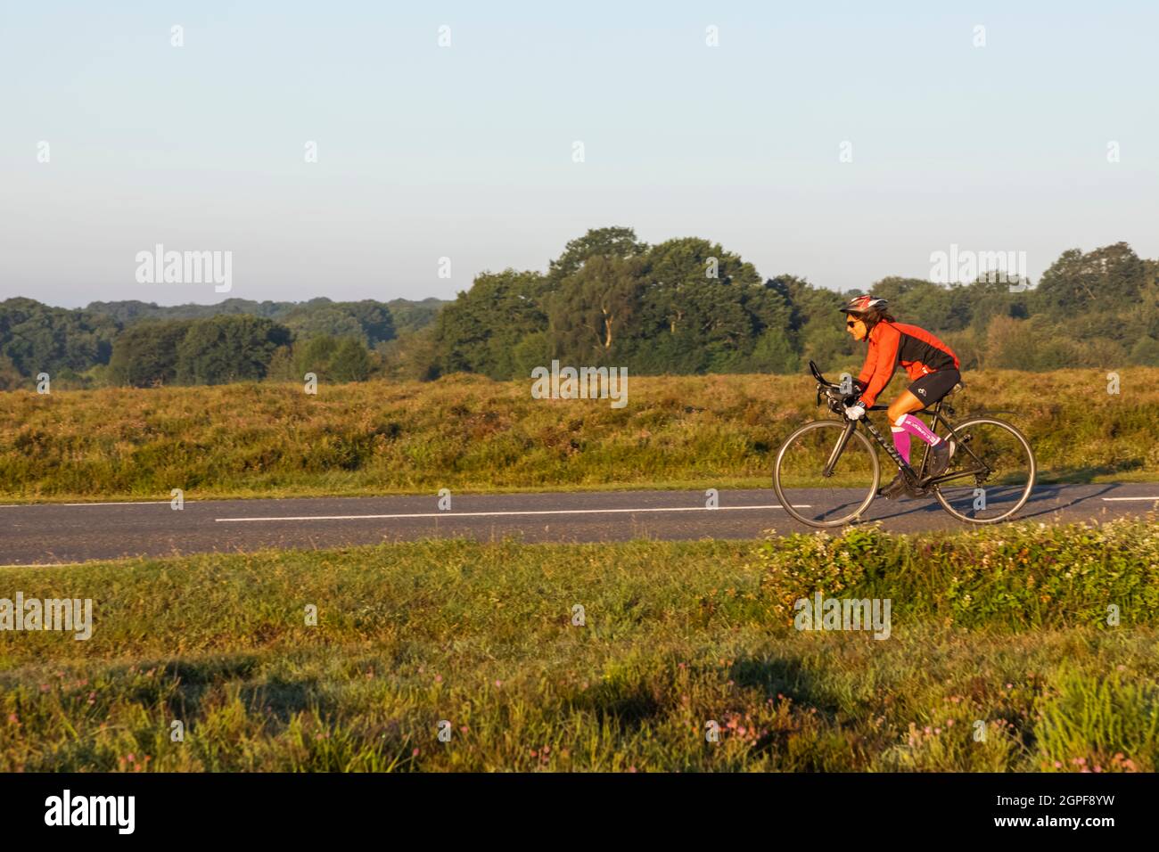 Inghilterra, Hampshire, la New Forest, ciclista femminile su Empty Road Foto Stock