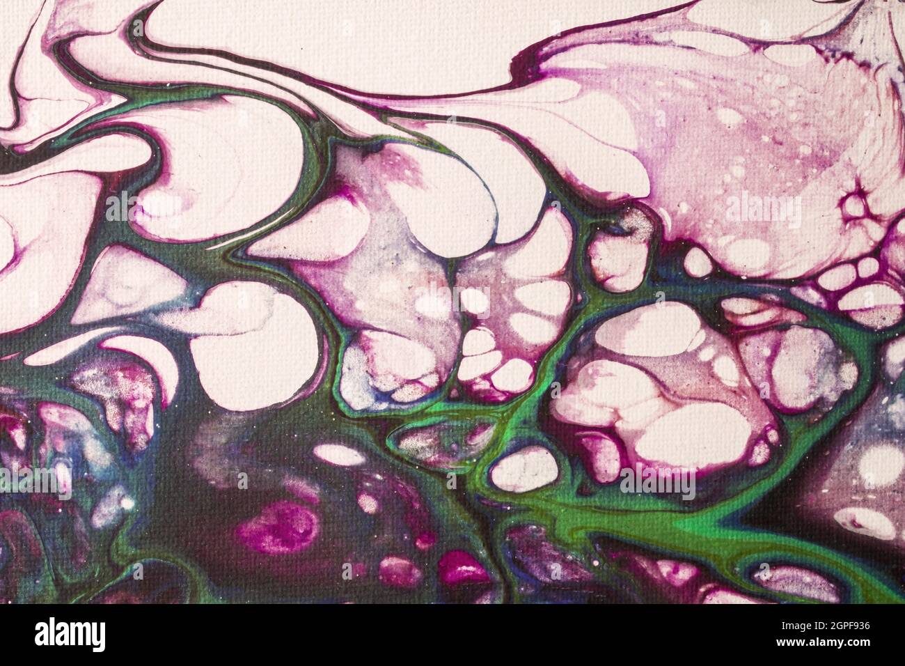 Astratto fluido arte sfondo bianco e viola colori. Pittura acrilica liquida su tela con gradiente lilla e spruzzi. Sfondo acquerello con onda Foto Stock