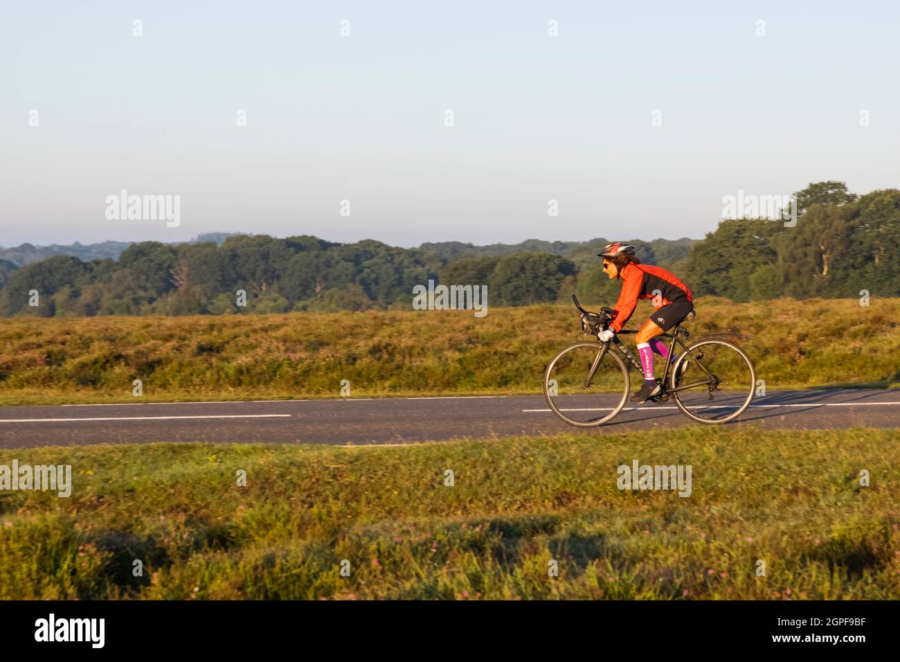 Inghilterra, Hampshire, la New Forest, ciclista femminile su Empty Road Foto Stock
