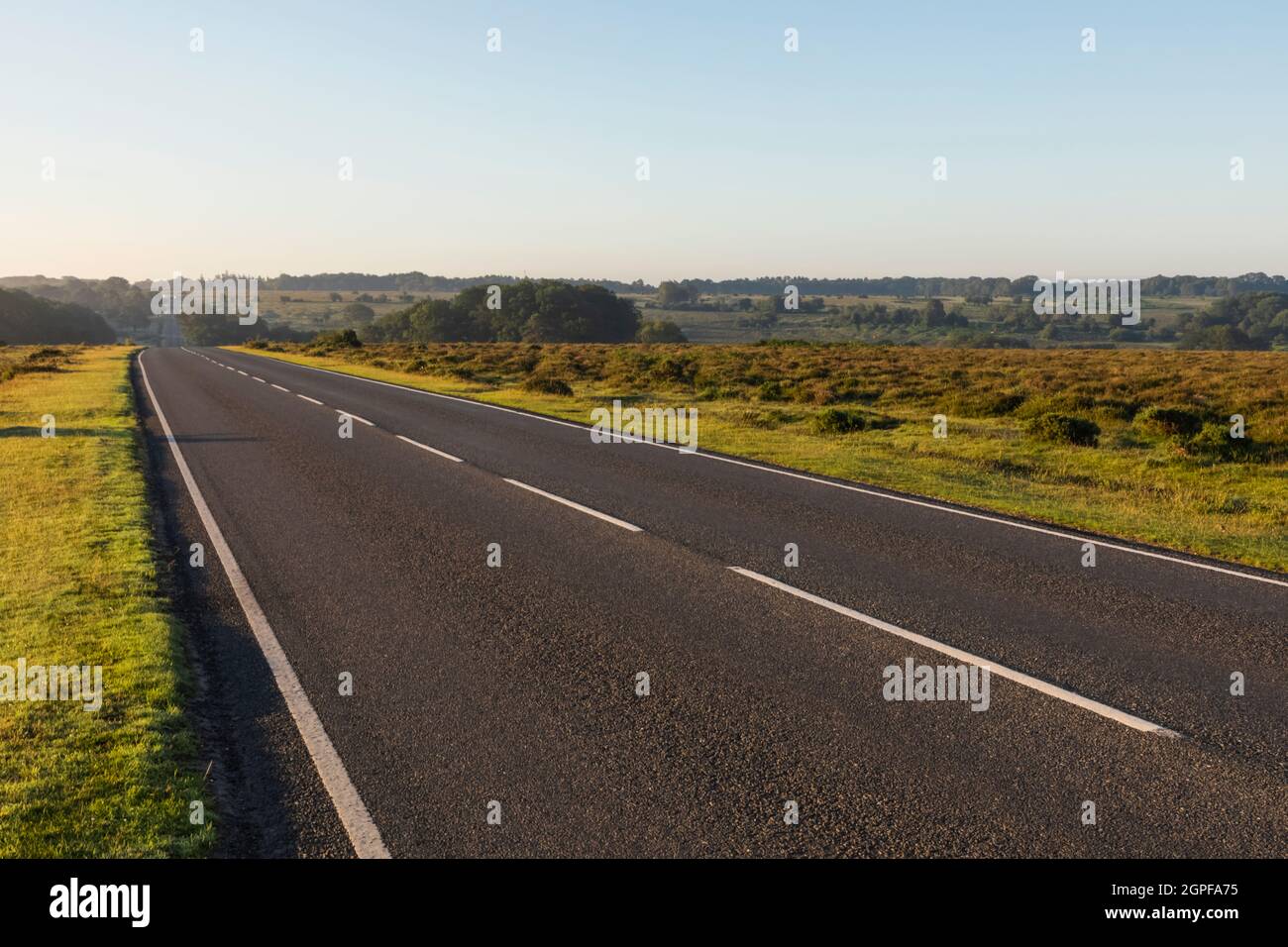 Inghilterra, Hampshire, New Forest, Empty Road Foto Stock