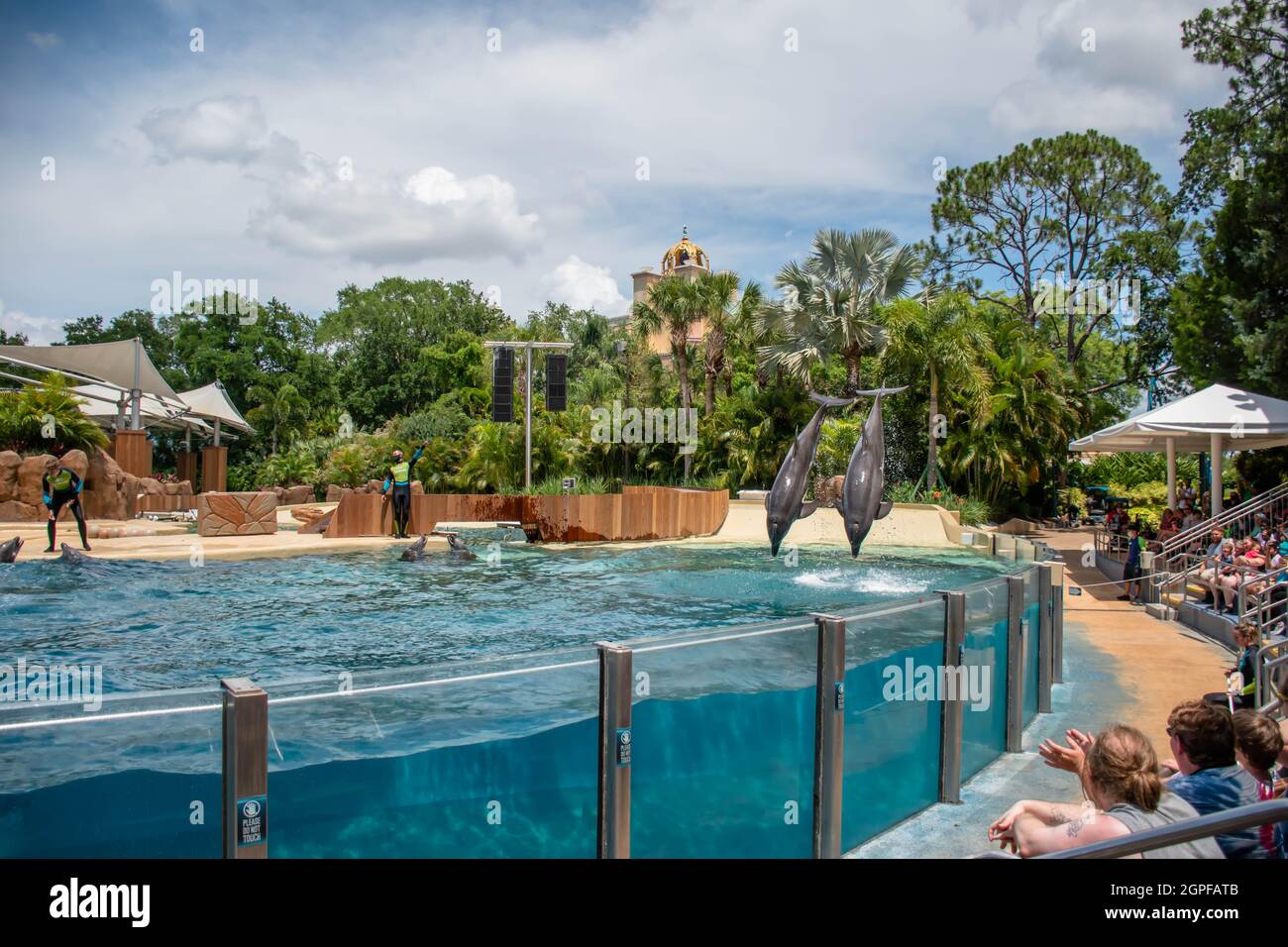 Orlando, Florida. Settembre 28, 2021. Spettacolo Dolphin Adventures al Seaworld (8) Foto Stock