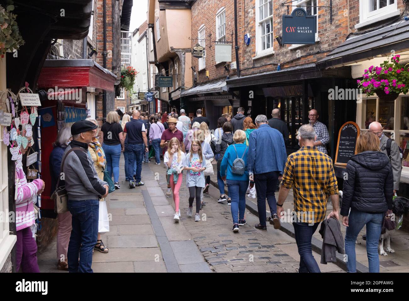 The Shambles, York UK; una strada medievale affollata da una folla di turisti, il centro di York, York UK Foto Stock