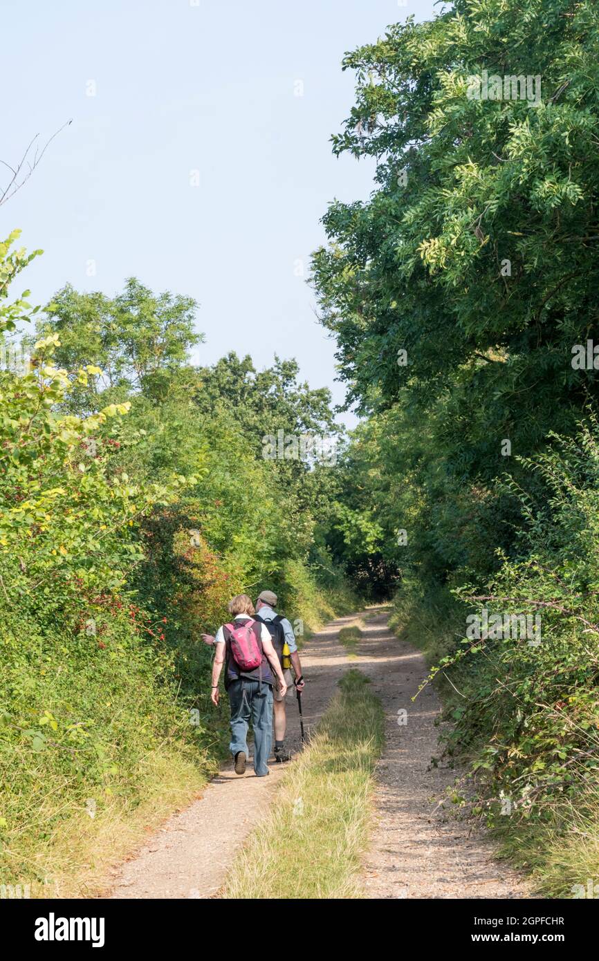 Attiva coppia senior che cammina lungo una corsia di campagna del Norfolk. Parte della passeggiata circolare Snettisham. Foto Stock