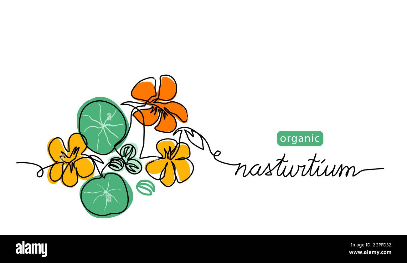 Nasturzio fiore medicinale, semi, foglia una linea disegno d'arte. Semplice illustrazione della linea vettoriale con scritte in nasturzio organico Illustrazione Vettoriale