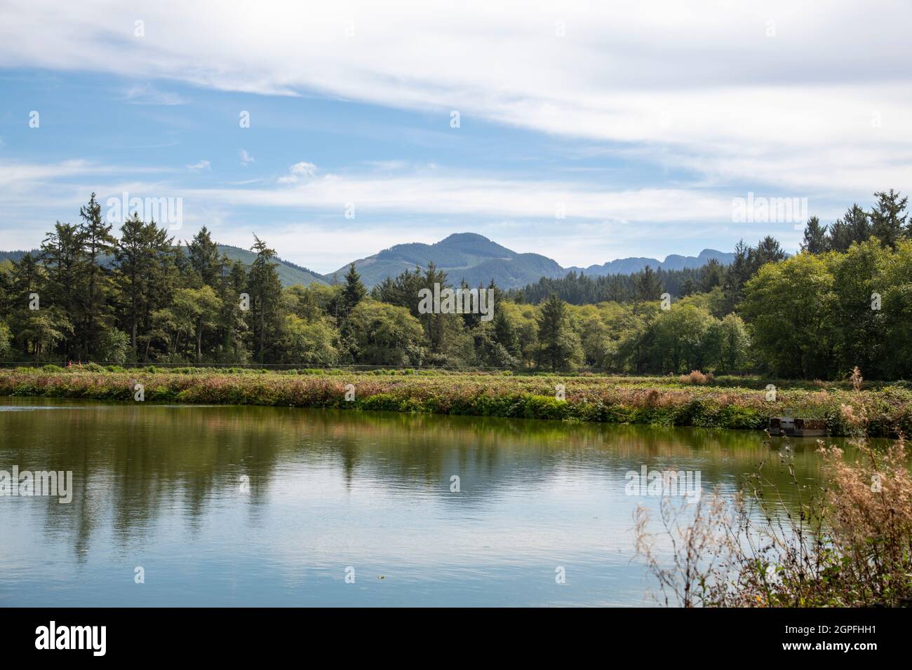 Paesaggio di montagna con acqua in primo piano vicino a Seaside Oregon Foto Stock