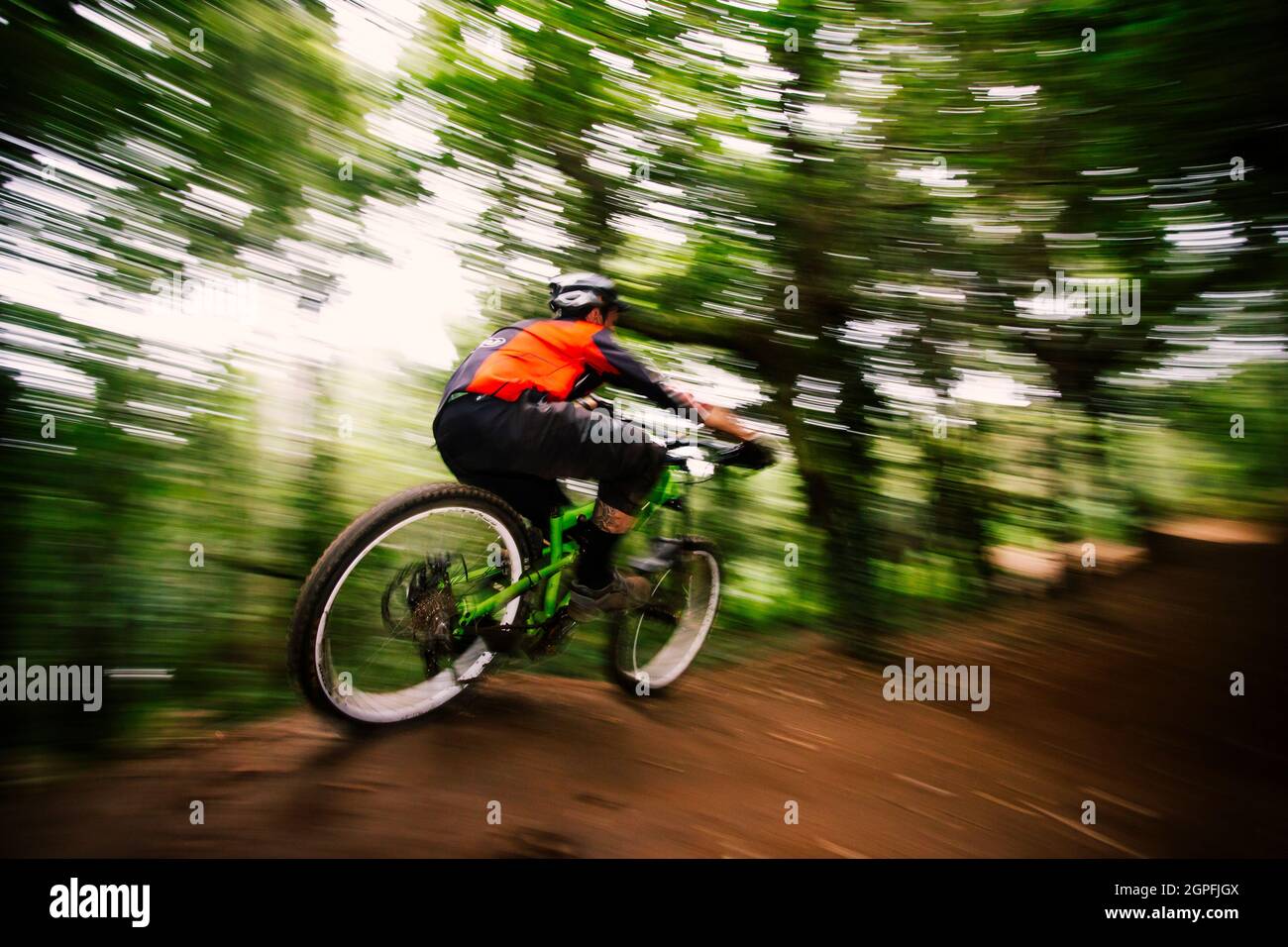 Basso angolo di visione dell uomo di eseguire acrobazie con la bicicletta in foresta Foto Stock