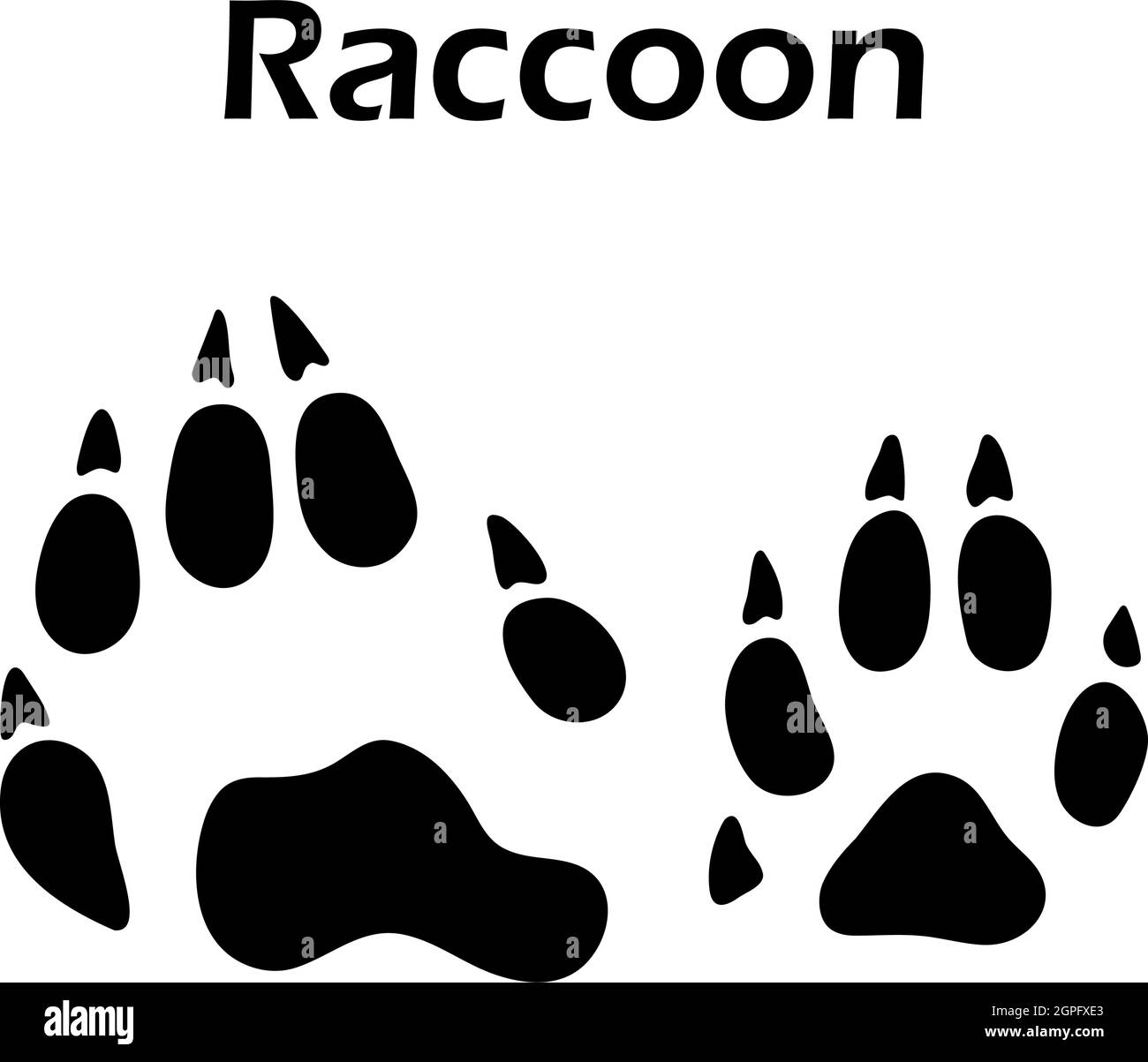 Ingombro di Raccoon Illustrazione Vettoriale