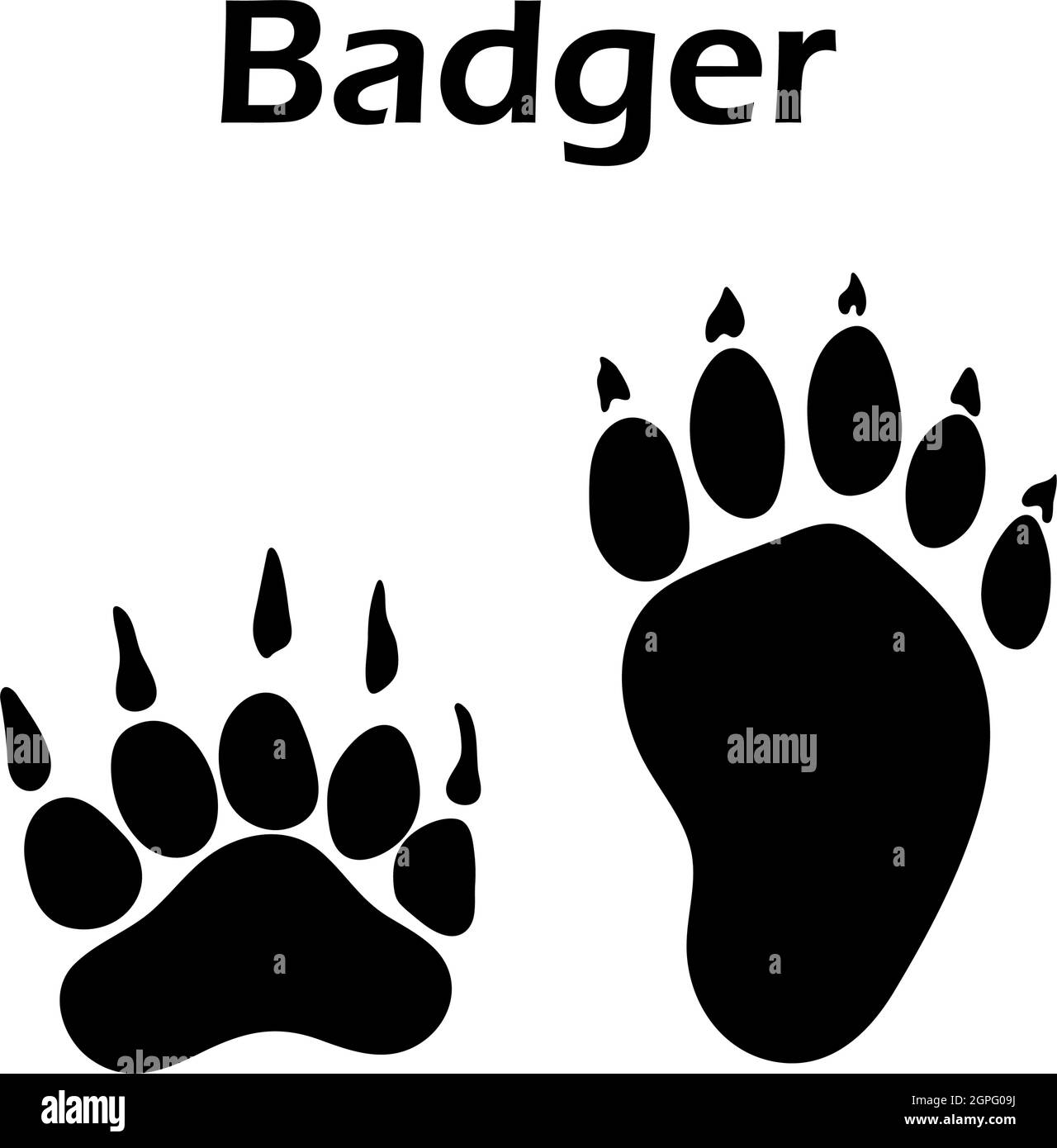Ingombro Badger Illustrazione Vettoriale