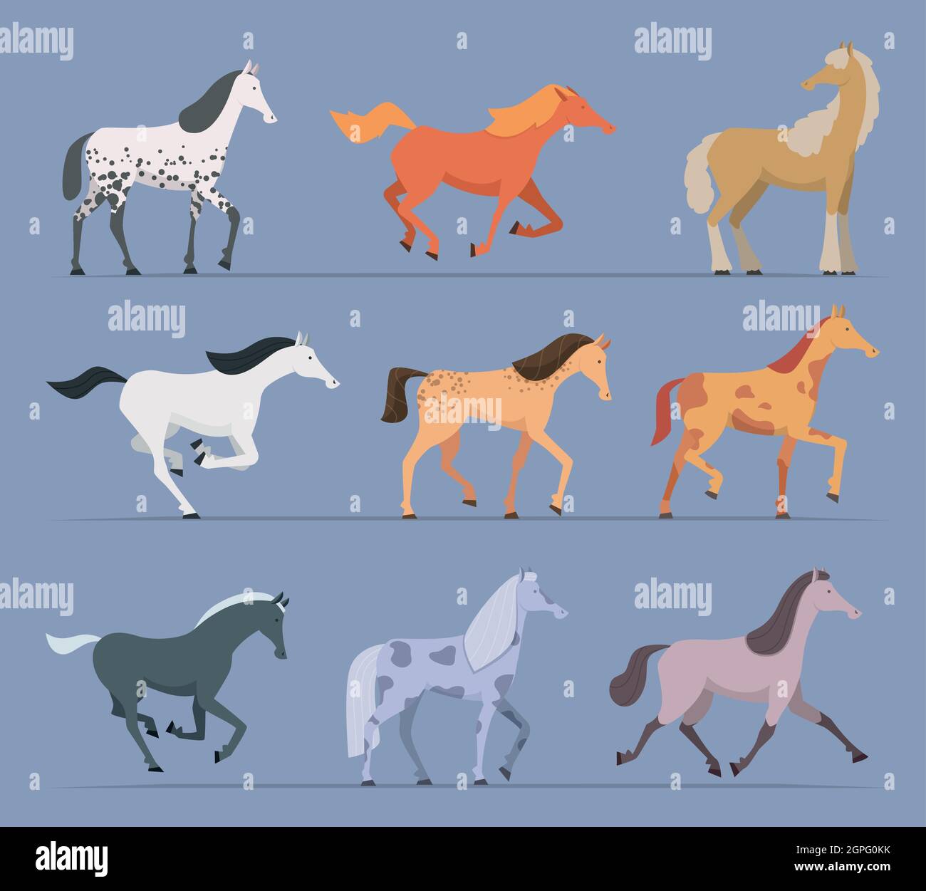 Cavalli. Razze nazionali forti animali da corsa a piedi e saltare cavalli vettori personaggi cartoni animati Illustrazione Vettoriale