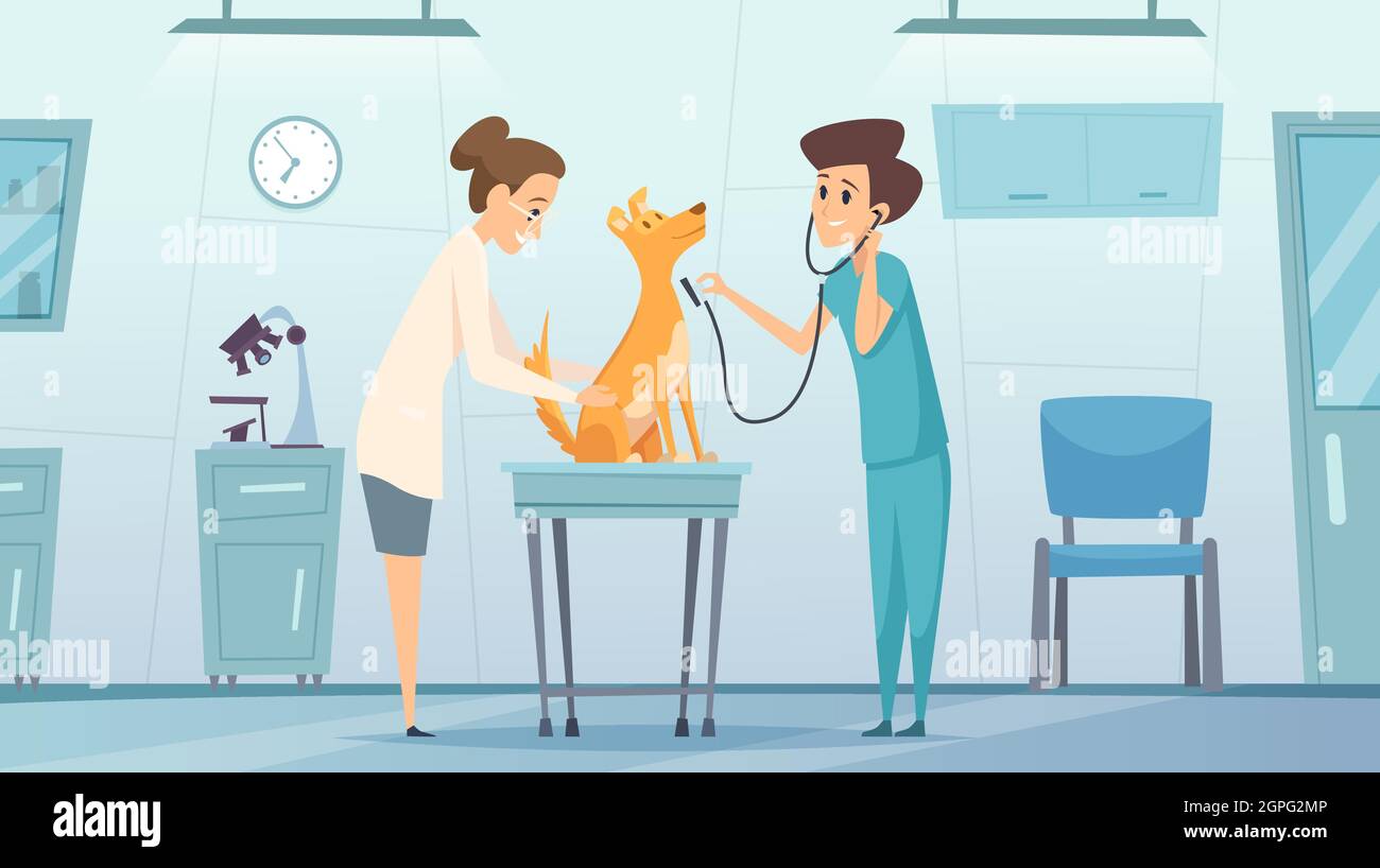 Clinica veterinaria. Medico in gabinetto esame animali domestici cura del cane salute vettore terapia centro veterinario clinica cartoon sfondo Illustrazione Vettoriale