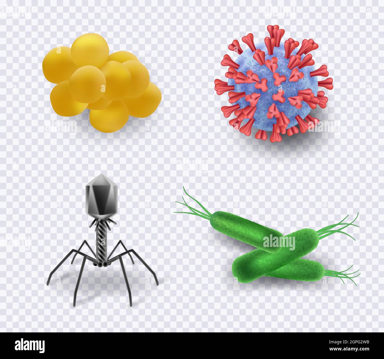 Virus. Biologia infezione batteri cellule bacillus ncov microrganismo vettore scienza simboli realistici raccolta Illustrazione Vettoriale