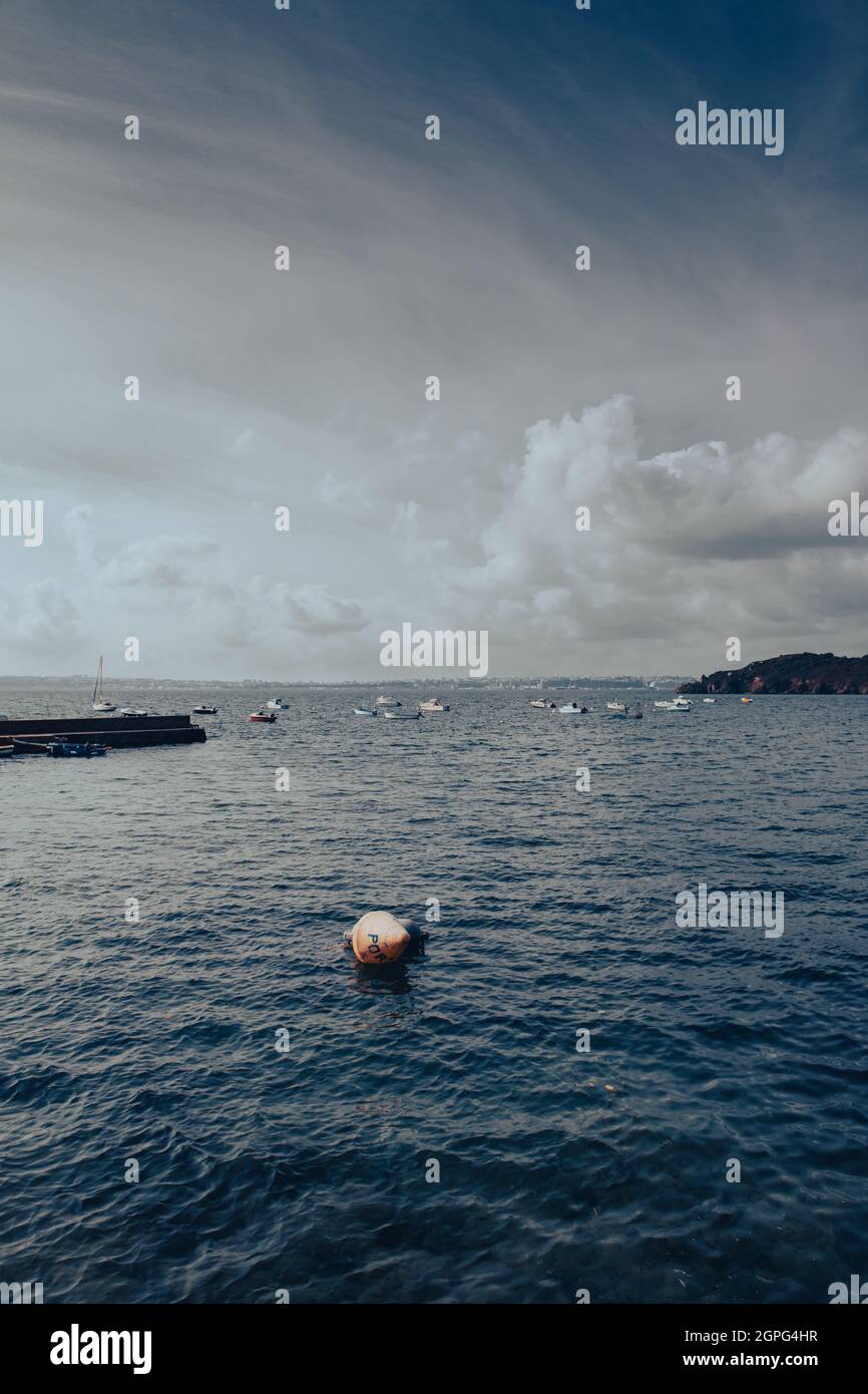 boa galleggiante sul mare Foto Stock