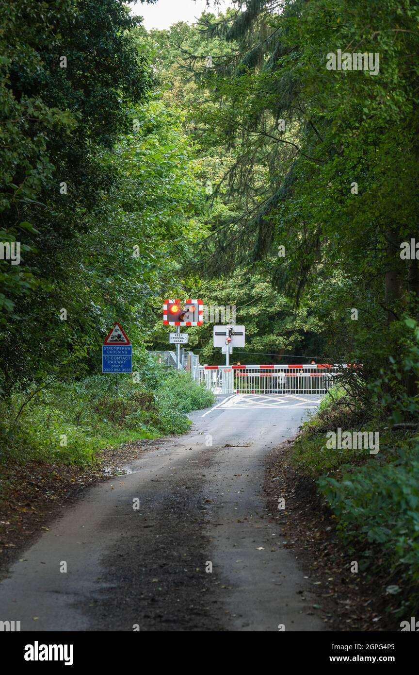 Una vista di un incrocio automatico di livello che lampeggia in rosso lungo una stretta corsia di campagna a Norfolk Foto Stock