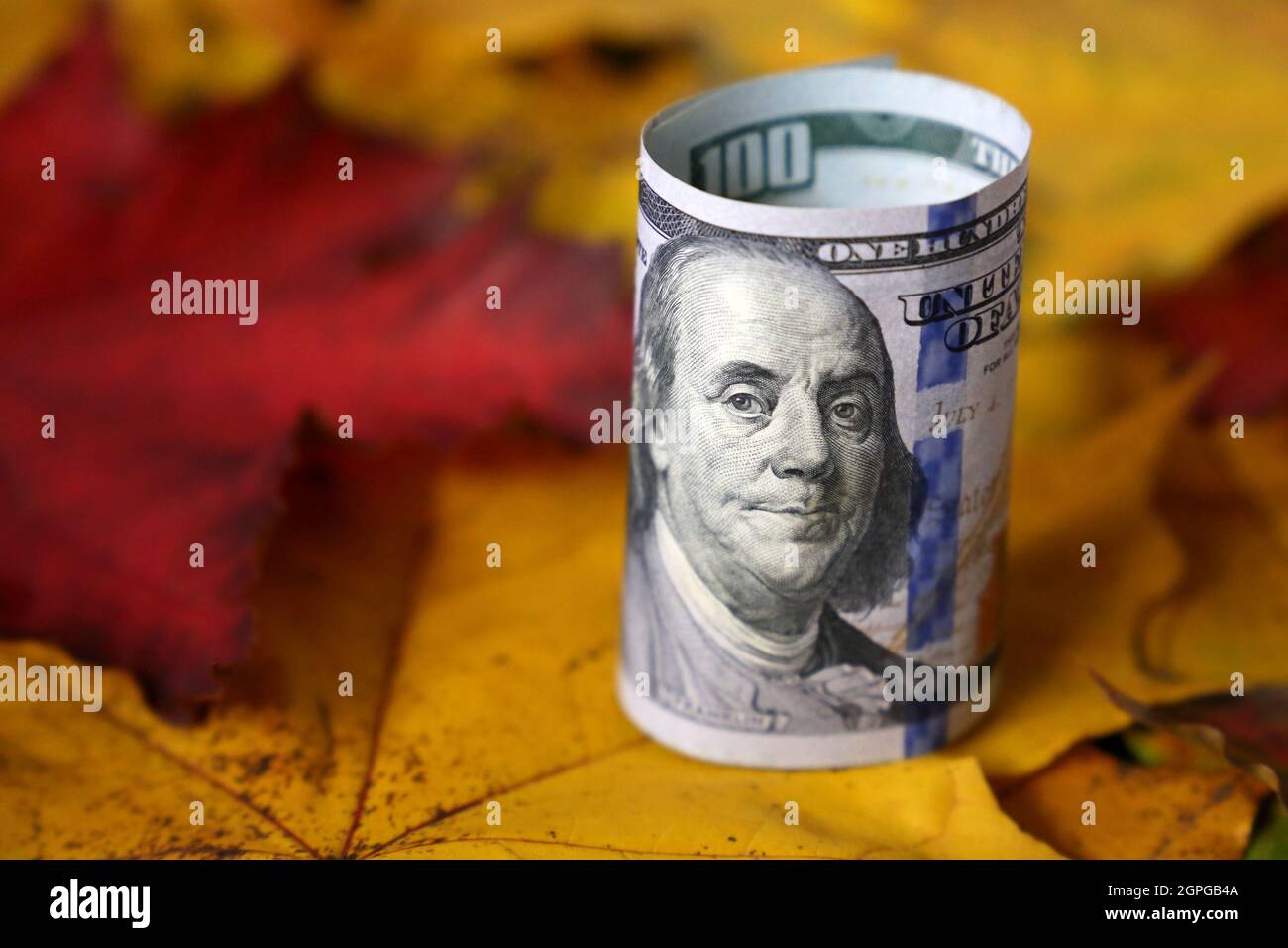 Banconote in dollari USA su foglie di acero giallo. Economia americana in autunno, tasso del dollaro Foto Stock