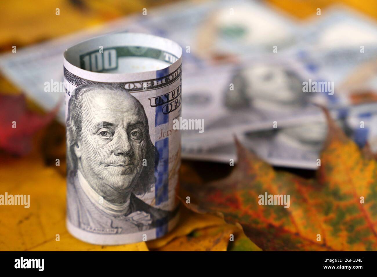 Banconote in dollari USA su foglie di acero giallo. Economia americana in autunno, tasso del dollaro Foto Stock