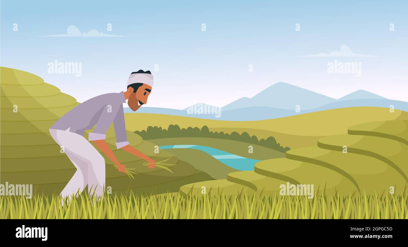 Paesaggio agricolo indiano. Coltivatore che lavora in campi di riso indiano lavoratore rurale vettore cartoon sfondo Illustrazione Vettoriale