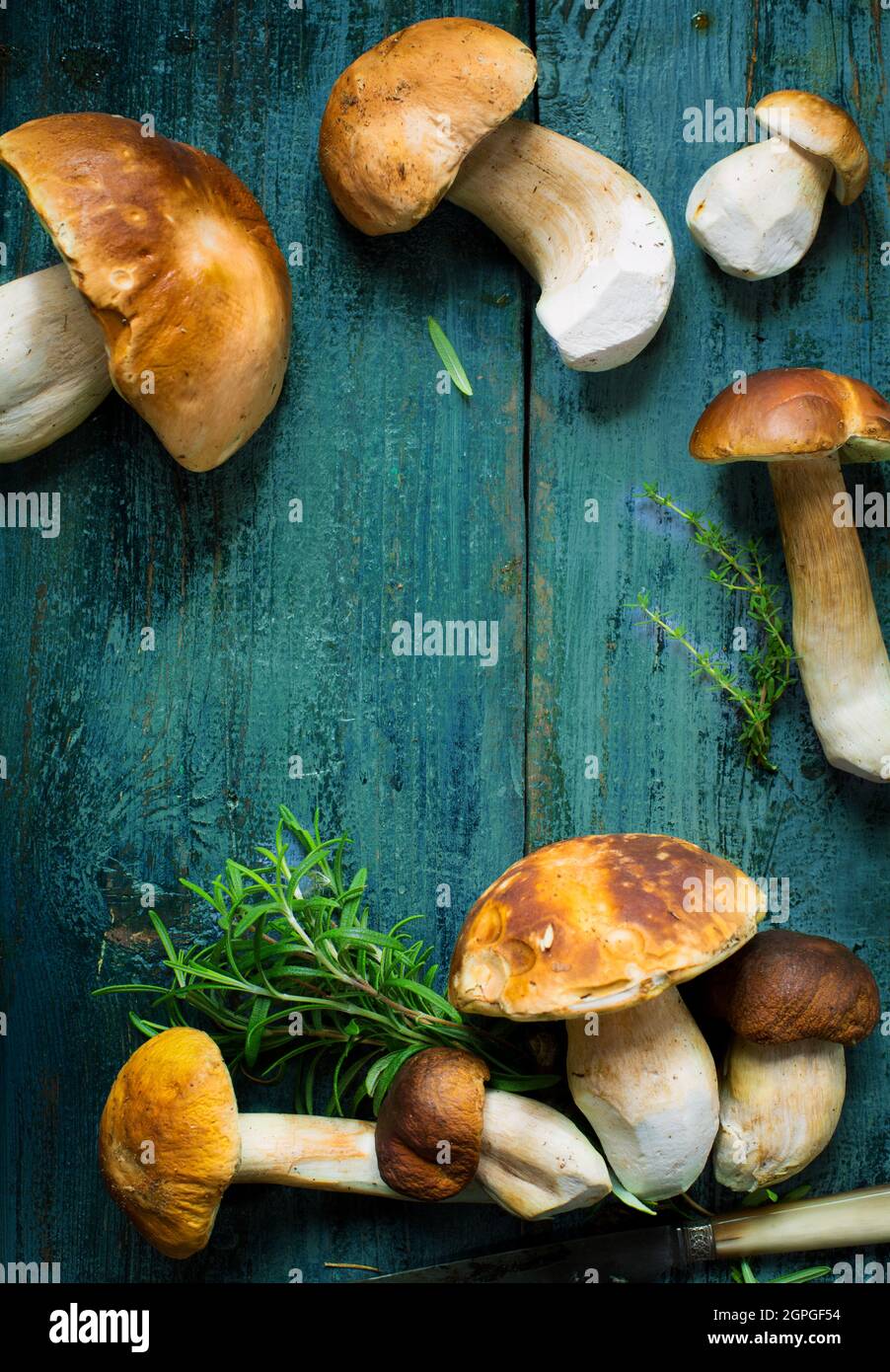Sfondo stagione autunnale con funghi cep; funghi selvatici freschi e coltello su tavola di legno grigio Foto Stock