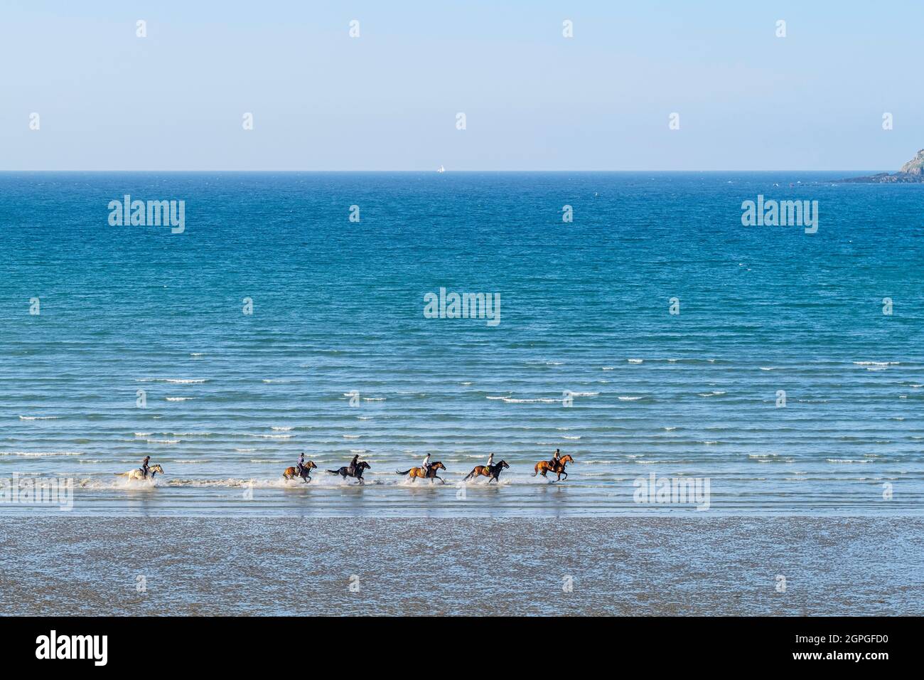 Francia, Cotes d'Armor, Saint-Jacut-de-la-Mer, località balneare lungo il sentiero escursionistico GR 34 o sentiero doganale, passeggiata a cavallo lungo la spiaggia di Rougeret Foto Stock