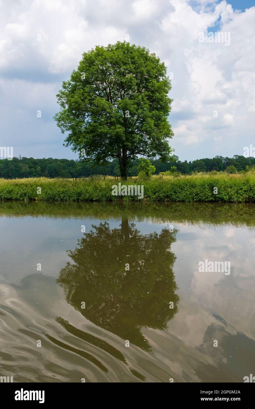 Francia, Haute Saone, Scey sur Saone, crociera sul Saone Foto Stock