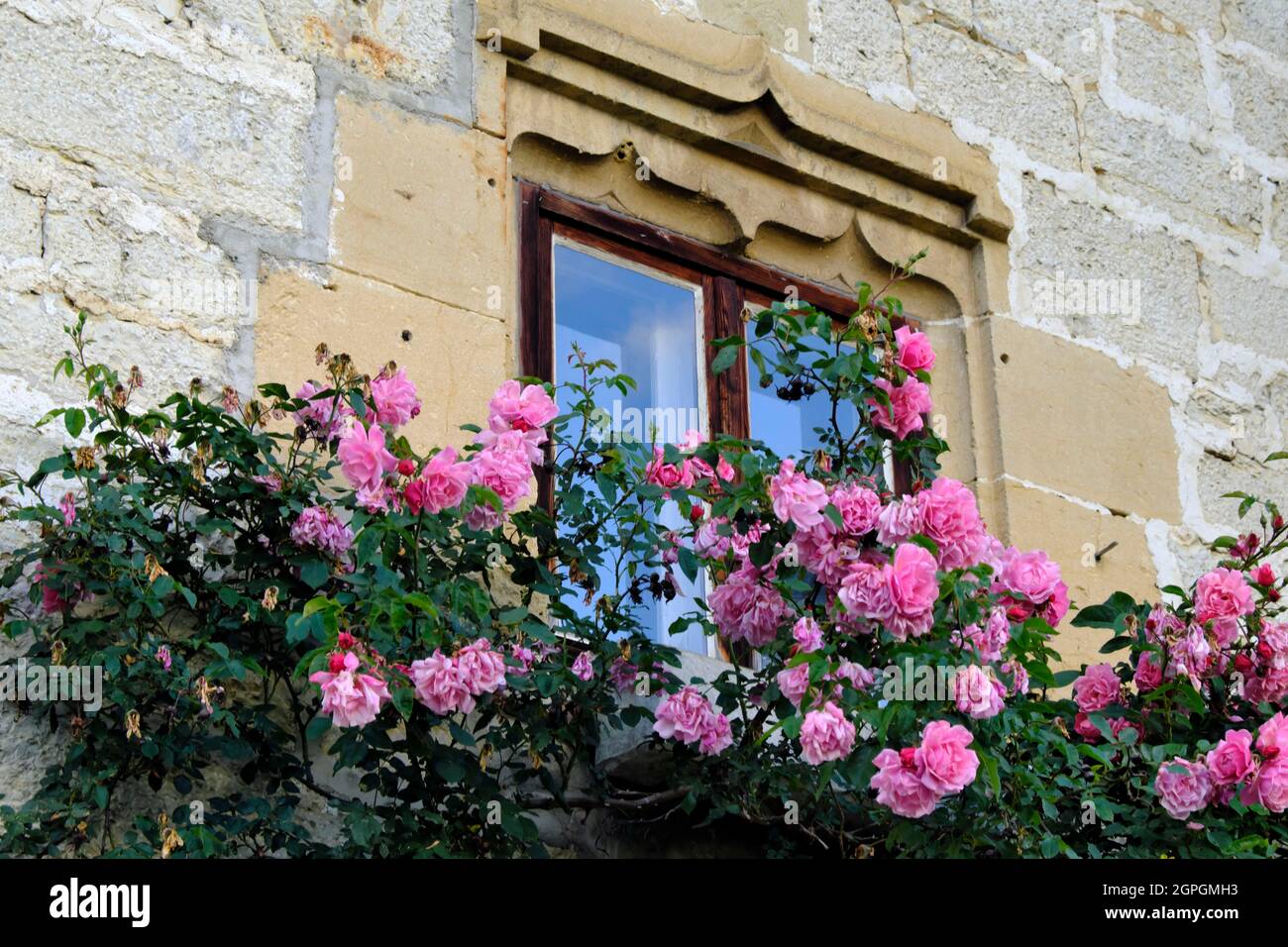 Francia, Doubs, le Bizot, Casa di giustizia del 16 ° secolo, vecchio villaggio caffè Chez la Colette Foto Stock