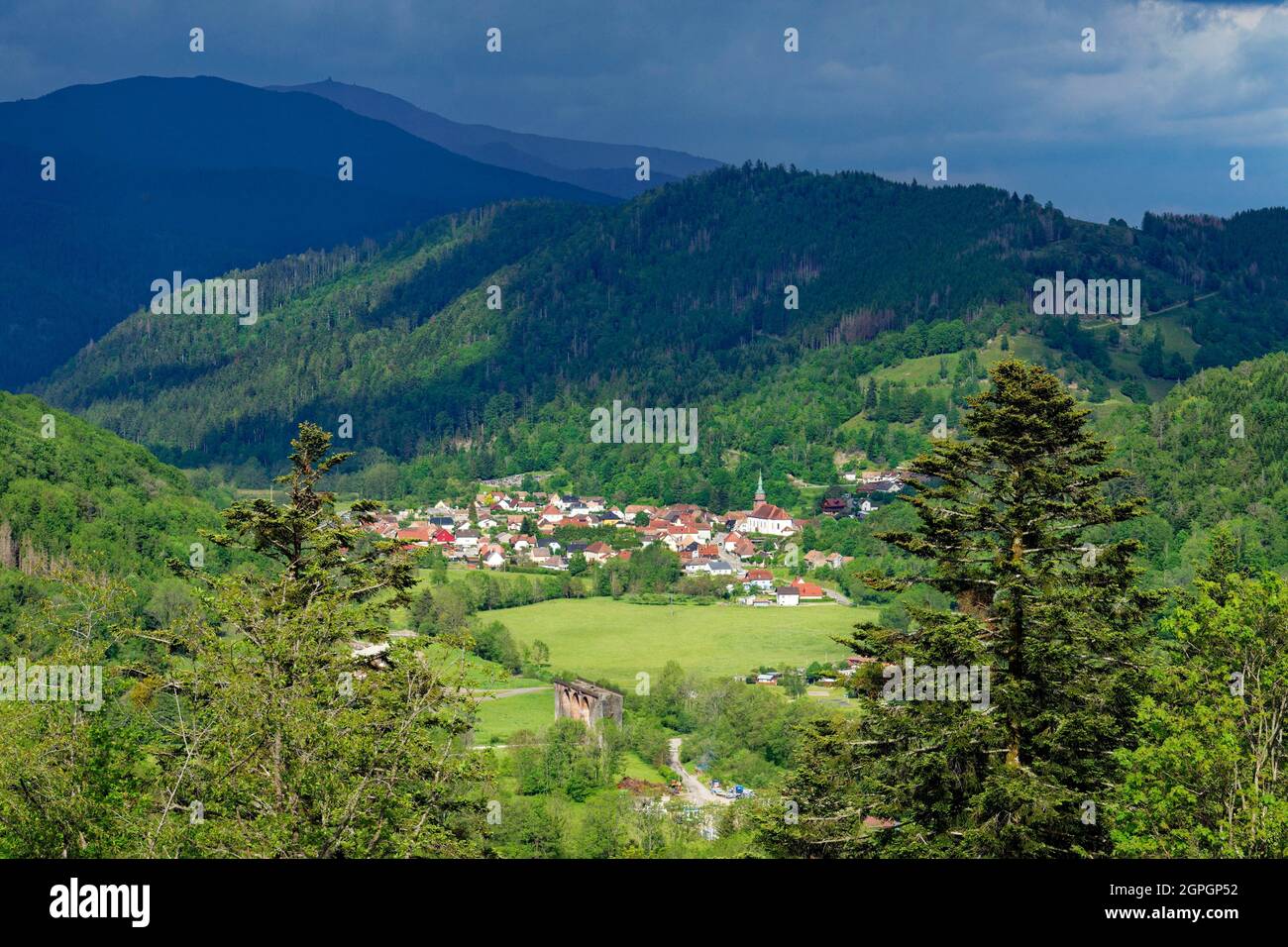 Francia, Alto Reno (68), Hautes Vosges, Parco Naturale Regionale dei Ballons des Vosges, Urbes Foto Stock