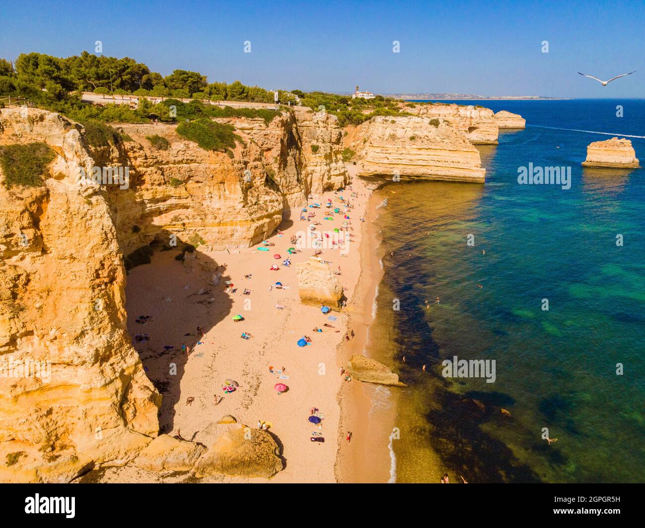 Portogallo, Algarve, Praia da Marinha (vista aerea) Foto Stock