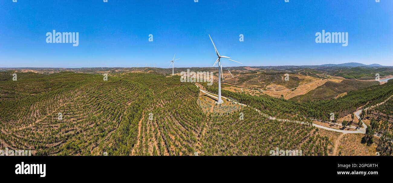 Portogallo, Algarve, Monchique, foresta di eucalipto e turbine eoliche (vista aerea) Foto Stock