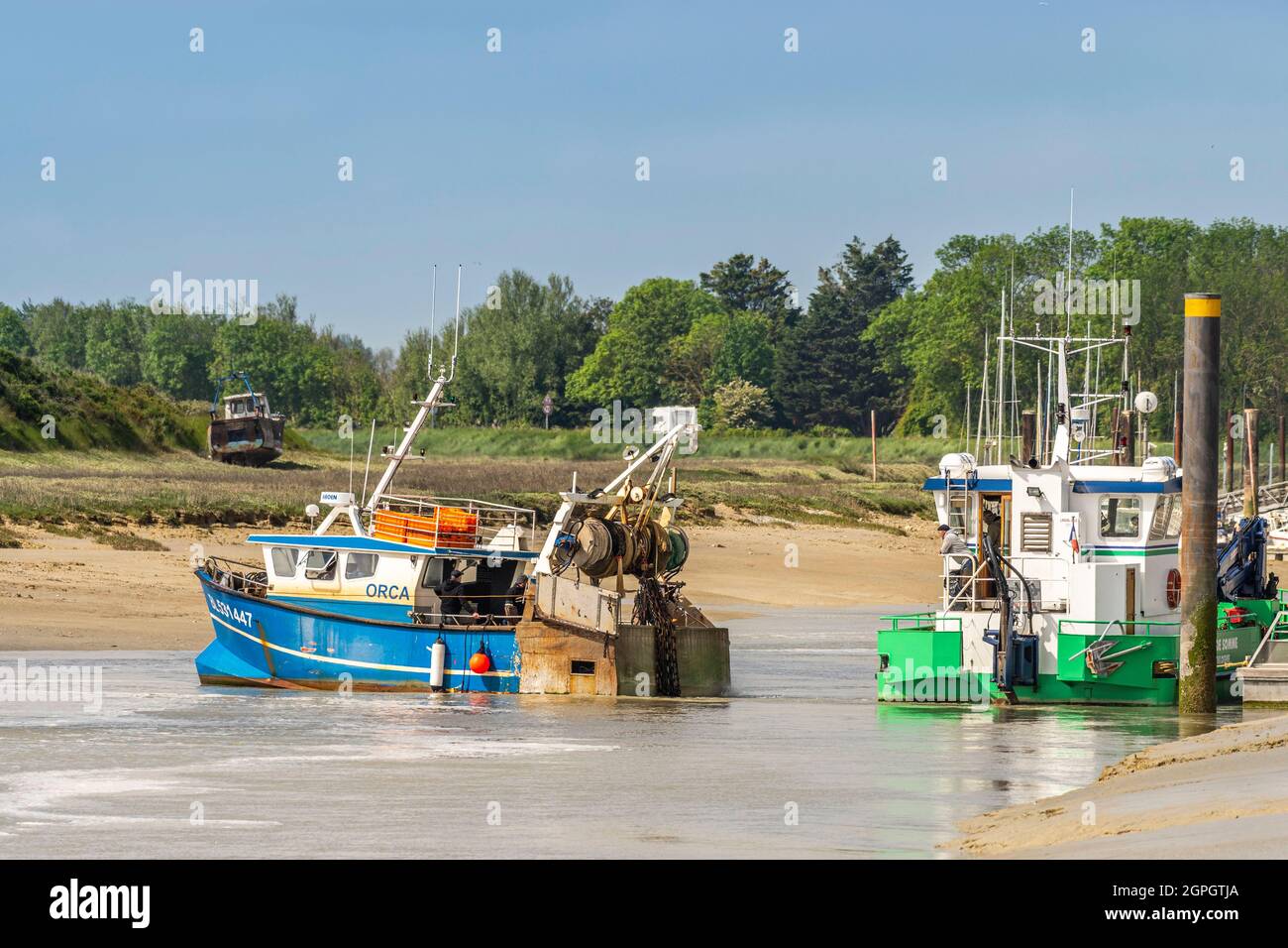 Francia, Somme, Baie de Somme, le Hourdel, l'arrivo della marea crescente consente ai pescherecci da traino di tornare al porto e scaricare la loro pesca per gamberetti grigi (chiamati cavallette) o di andare a pesca, sono accompagnati da escursionisti quando entrano nel canale stretto Foto Stock