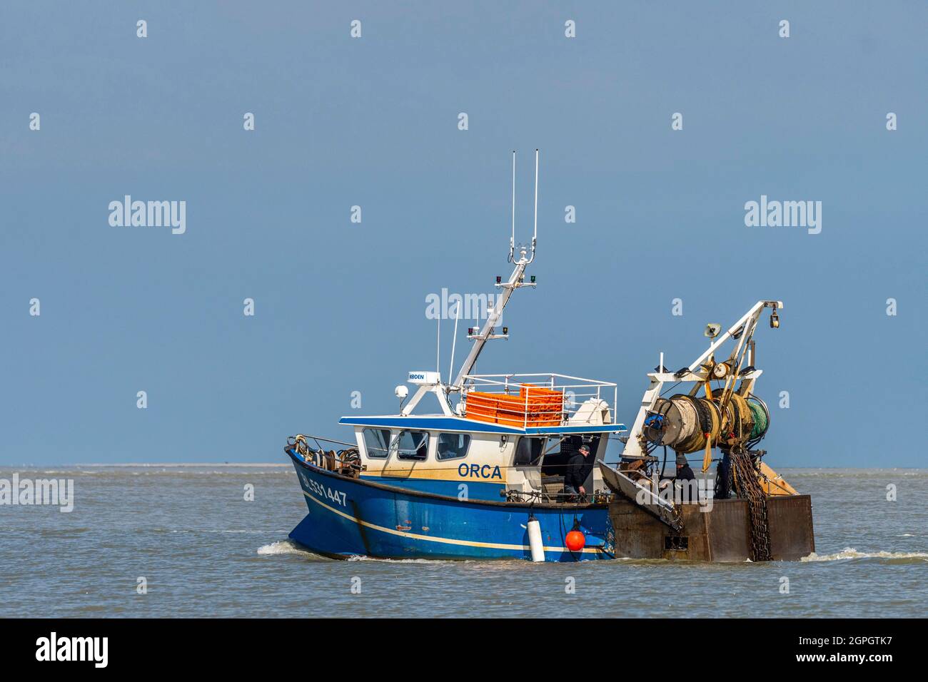 Francia, Somme, Baie de Somme, le Hourdel, l'arrivo della marea crescente consente ai pescherecci da traino di tornare al porto e scaricare la loro pesca per gamberetti grigi (chiamati cavallette) o di andare a pesca, sono accompagnati da escursionisti quando entrano nel canale stretto Foto Stock