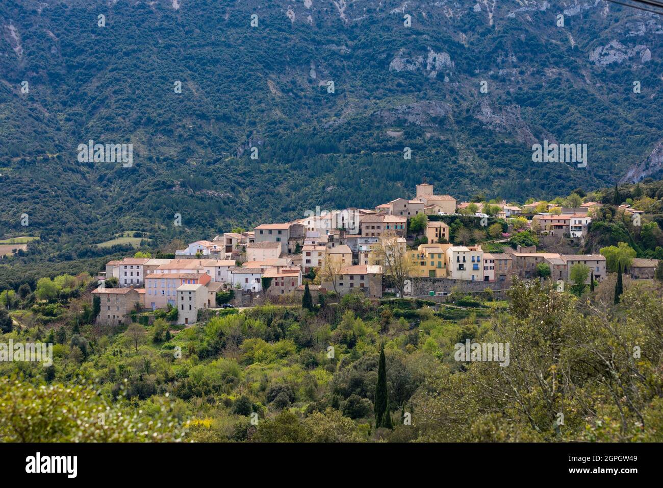 Francia, Aude, Duilhac-sous-Peyrepertuse villaggio Foto Stock