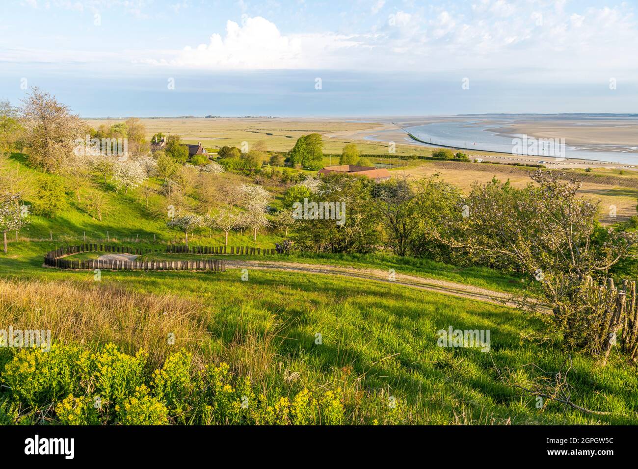 Francia, Somme, Baie de Somme, Saint Valery sur Somme, Cap Hornu, il sentiero che conduce alla cappella dei marinai con alberi da frutto in fiore in primavera Foto Stock