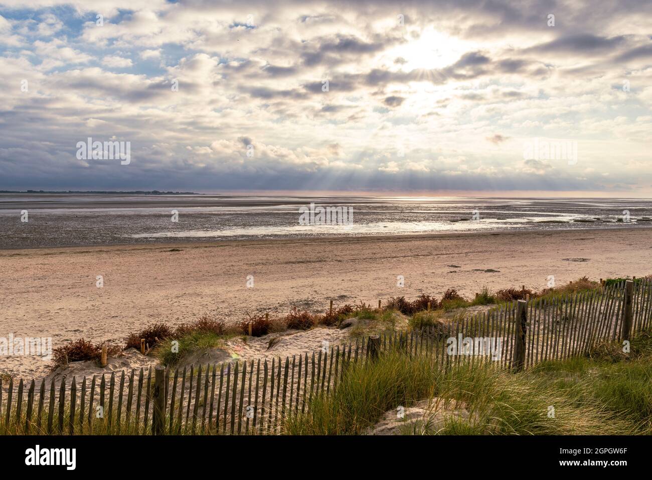 Francia, Somme, Baie de Somme, le Crotoy, la spiaggia in una serata di primavera, alcuni escursionisti approfittano di una radura Foto Stock