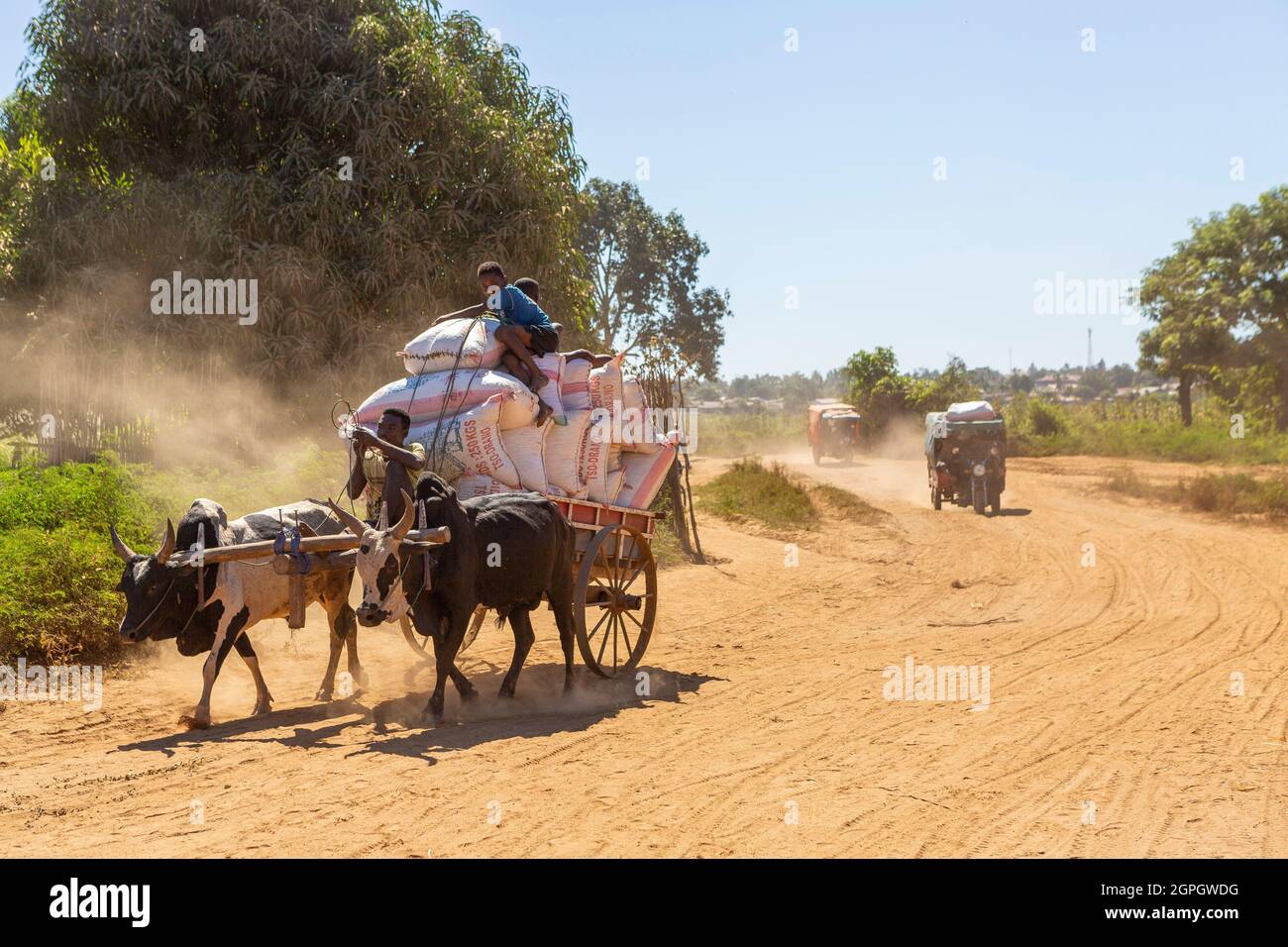 Madagascar, regione di Menabe, massiccio del Bemaraha, fiume Tsiribihina, bello-sur-Tsiribihina, trasporto di merci al porto Foto Stock