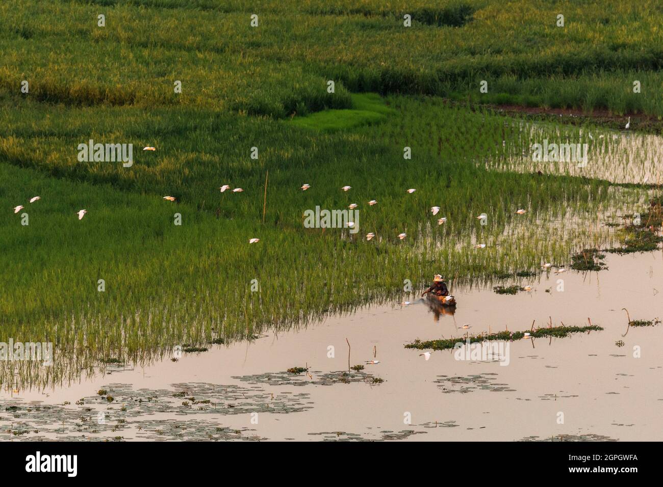 Madagascar, regione di Ménabé, Miandrivazo, fiume Tsiribihina verso Miandrivazo Foto Stock