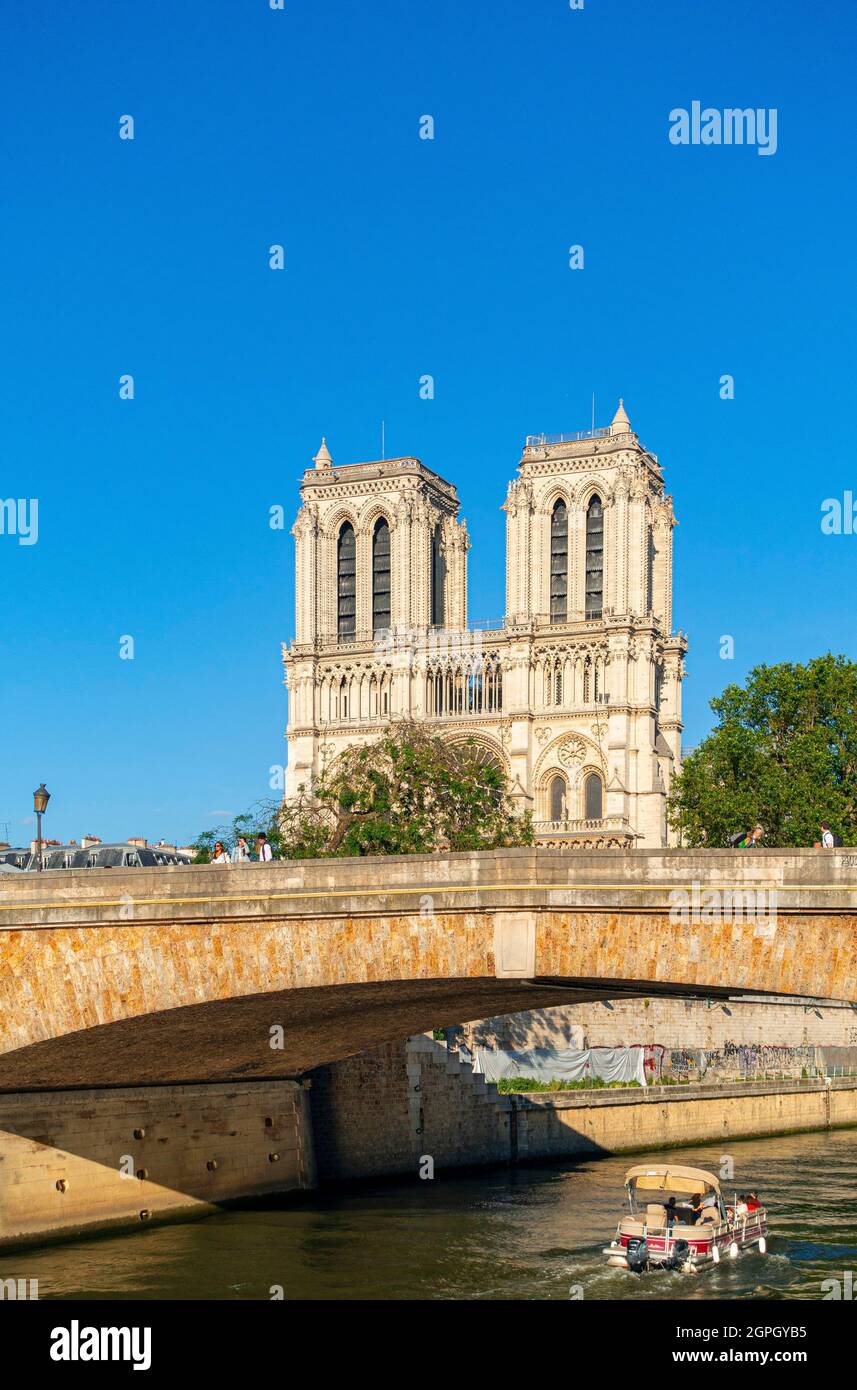 Francia, Parigi, zona dichiarata Patrimonio dell'Umanità dall'UNESCO, le rive della Senna, Notre-Dame de Paris e il Petit pont Foto Stock