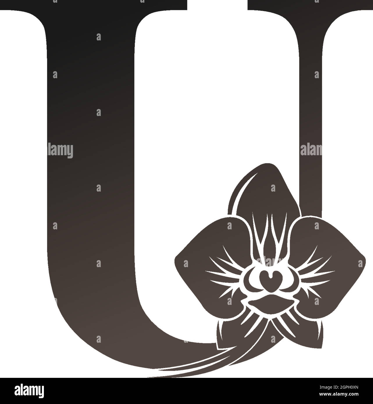 Icona del logo lettera U con vettore orchidea nero Illustrazione Vettoriale