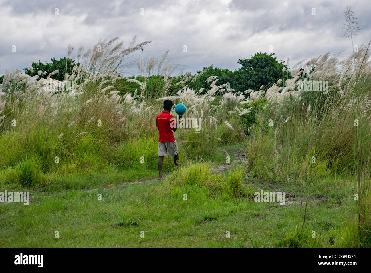 Halisahar, Bengala Occidentale, India. 28 settembre 2021. I ragazzi giocano a calcio in un bel terreno di villaggio circondato da fiori spontaneo di Saccharum che si chiama 'Kans' fiori in Bengalese, la lingua locale del Bengala Occidentale, India. (Credit Image: © Santarpan Roy/ZUMA Press Wire) Foto Stock