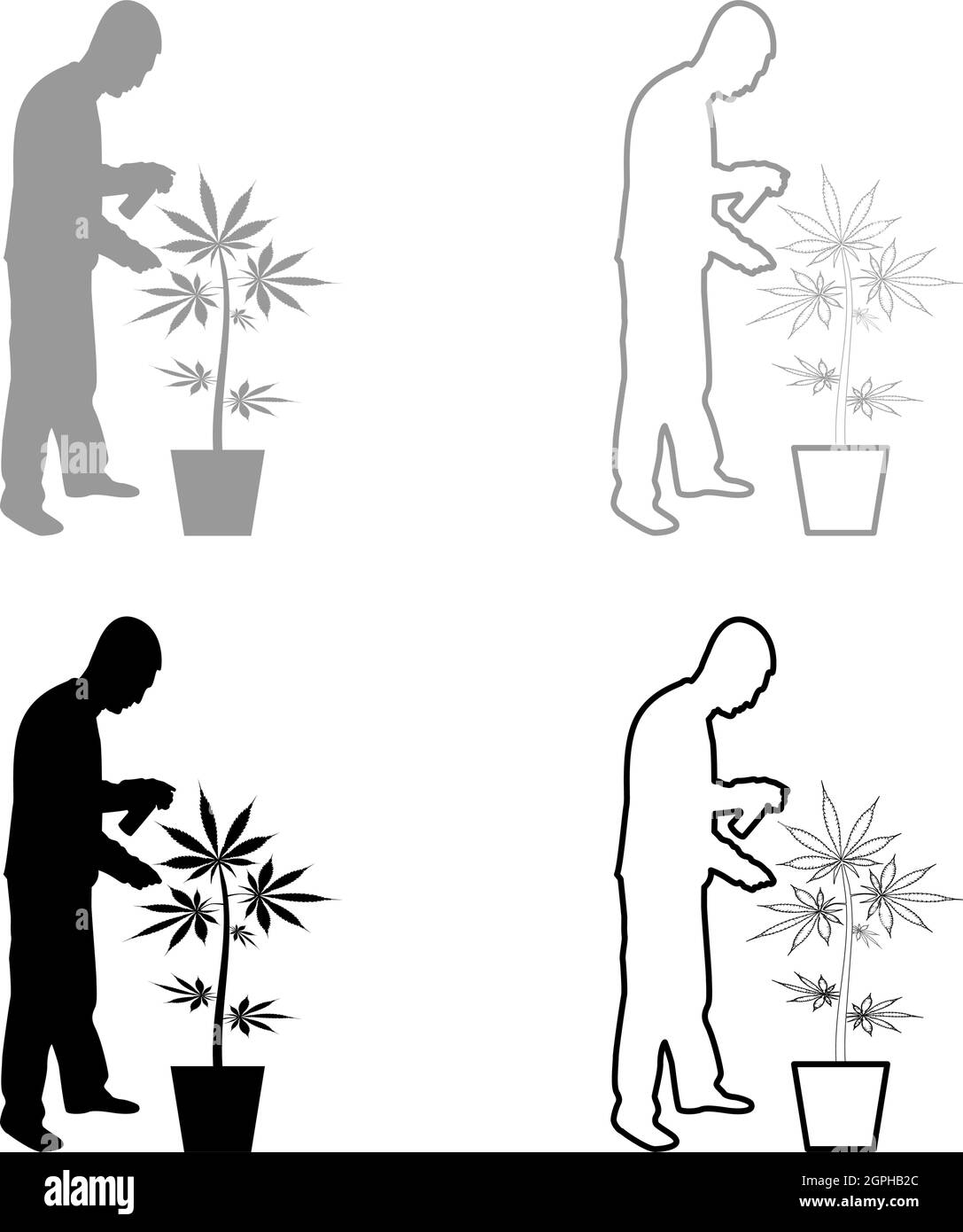 Uomo che si prende cura di marijuana pianta in vaso acqua spruzzatura con mano irrigatore Giardinaggio concetto di raccolta a casa silhouette grigio nero vettore illustrazione contorno solido stile immagine Illustrazione Vettoriale