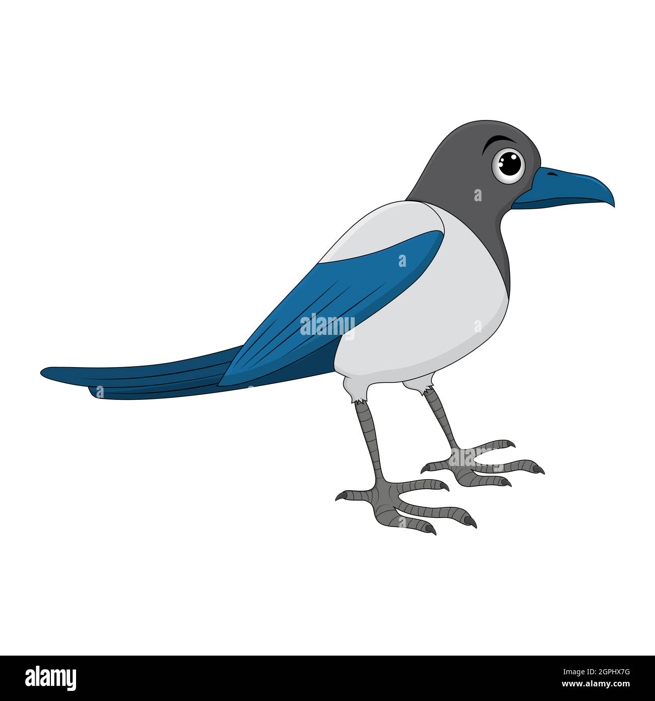 Illustrazione del cartone animato di uccello di Magpie. Disegno di ornitologia animale di corvo in piedi. Clip art vettoriale isolato su sfondo bianco. Illustrazione Vettoriale