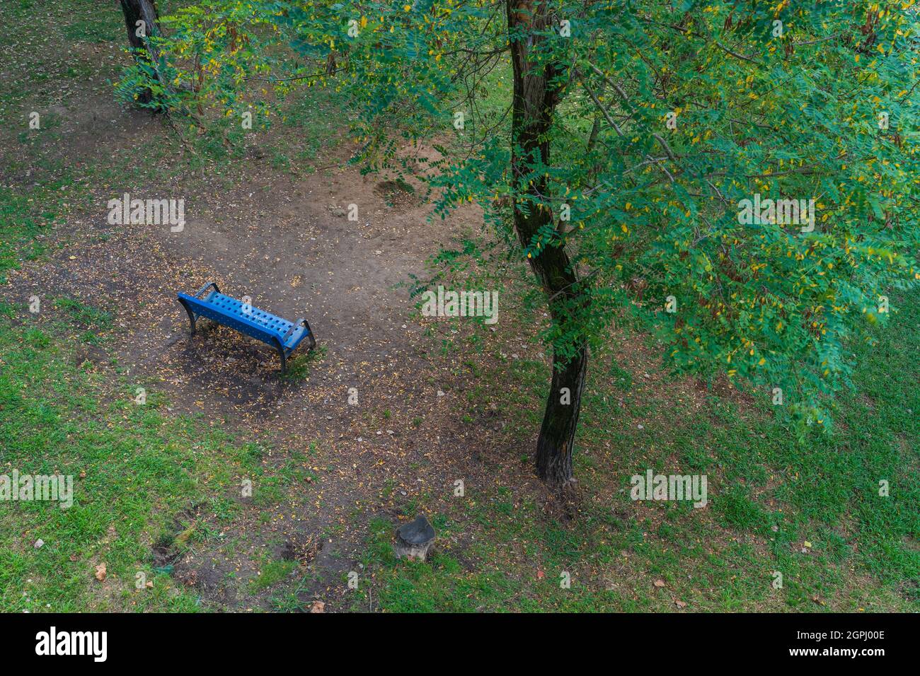 Parco urbano con alberi e panca blu. Natura e relax per i cittadini. Foto Stock