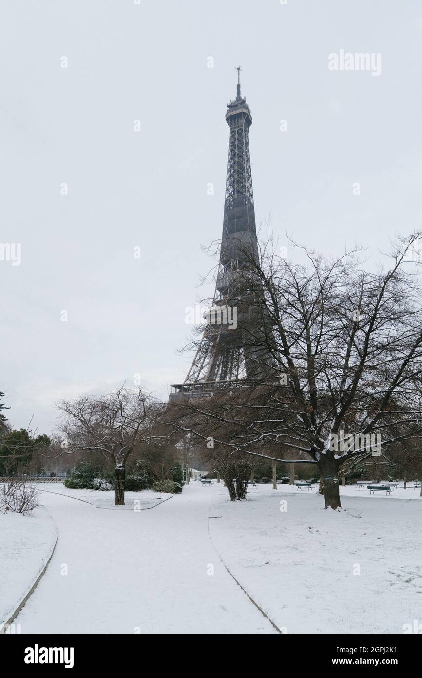 Torre Eiffel con swon, Parigi, Francia Foto Stock