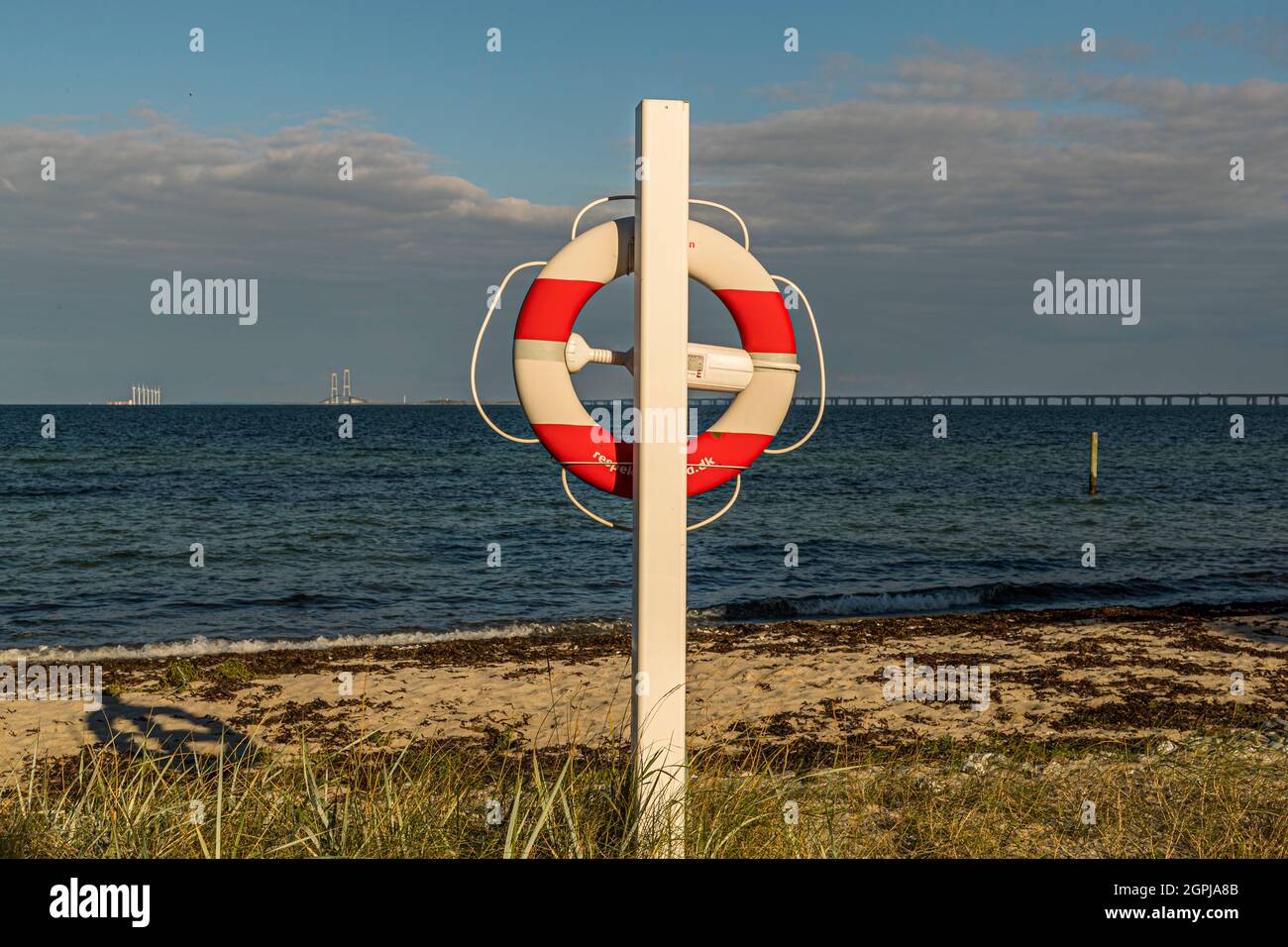 Cintura di sicurezza di fronte al Grande Ponte della cintura (Storebælt), Nyborg, Danimarca Foto Stock