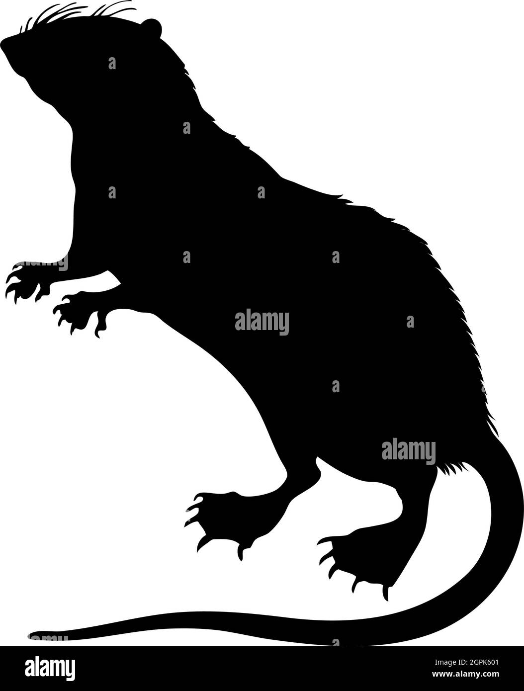 Acqua Tenorec Silhouette Illustrazione Vettoriale