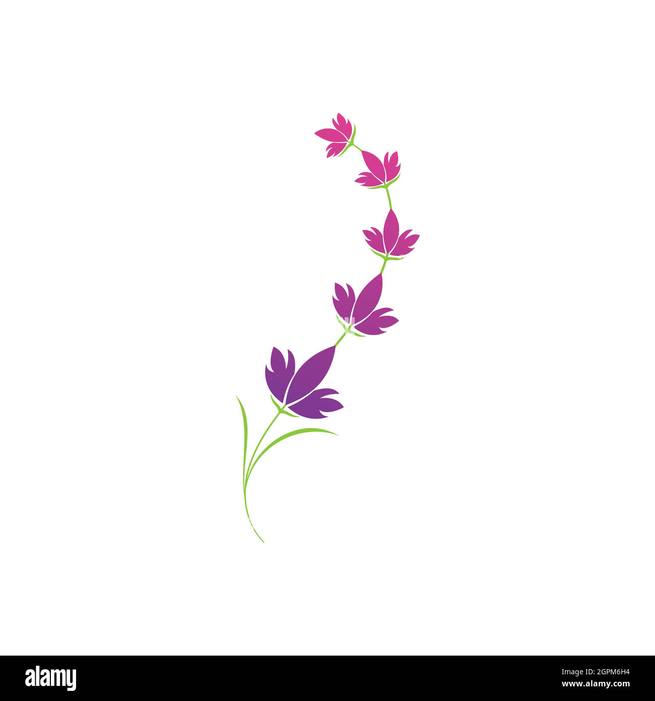 Modello con logo in fiore di lavanda Illustrazione Vettoriale