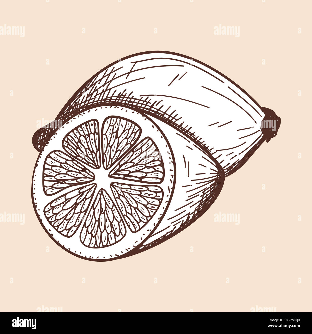 Icon Of Lemon Illustrazione Vettoriale