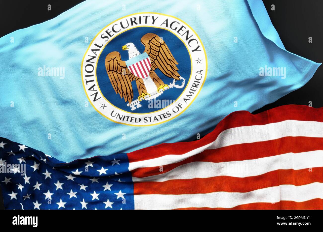 Bandiera dell'Agenzia Nazionale per la sicurezza degli Stati Uniti con una bandiera degli Stati Uniti d'America come simbolo di unità tra di loro, illustrazione 3d Foto Stock