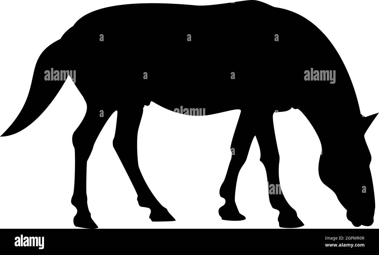 Silhouette cavallo cavallo cavallo equestre stallone purosangue nero mustang colore vettore illustrazione piatta immagine stile Illustrazione Vettoriale
